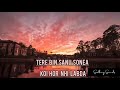 tere bin sanu soneya cover song in female voice