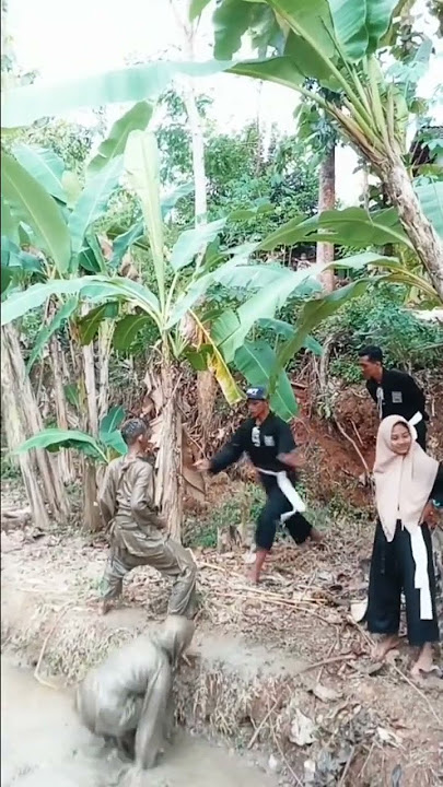 story wa psht keren banget terbaru #psht