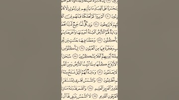 سورة يس | الشيخ النميري |رواية حفص عن عاصم | قصر المنفصل مع بعض وجوه ال