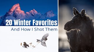 20 Winter Photo Favorites and How I Captured Each One