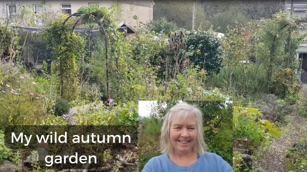 October tour of my wild welsh garden