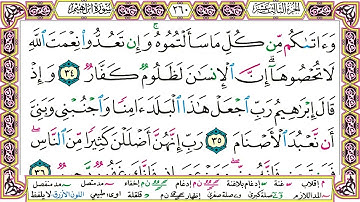 سورة إبراهيم من 24 إلى 52