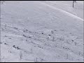 Skijaši snimili čopor vukova na Bjelašnici