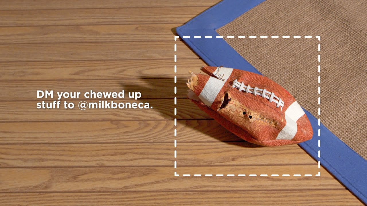 Milk Bone Instant Rebate Coupon