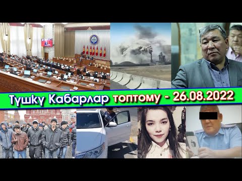 Video: Дипломсуз кантип экологиялык жумушка алам?