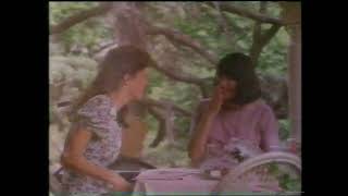 Palmolive ad (1990)