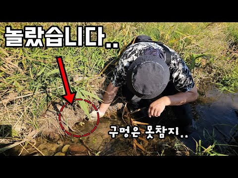 <strong>지렁이</strong> 구멍치기! 안에서 엄청난 힘으로 땡기네요..ㄷㄷ 몰랐던 대물들이 한가득 나온다!