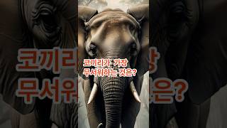 코끼리가 무서워 하는 것