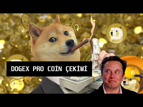 DOGEX PRO Binance'ye