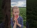 И наелись и домой привезли 😊