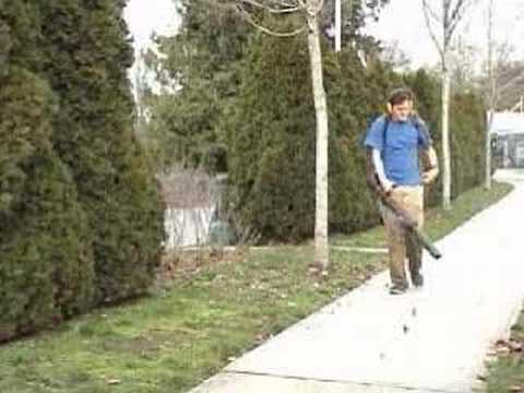 Grass Stains — trailer