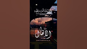 سورة الأنفال #الشيخ_يوسف_العيدروس