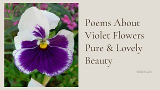 Poems About Violet Flowers Pure