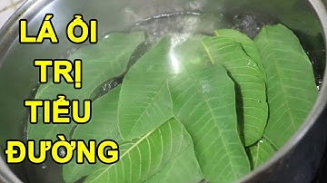 Lấy 1 Nắm Lá Ổi Nấu Nước Uống Mỗi Ngày: Bài Thuốc Trị Bệnh Tiểu Đường Cực Hiệu Qủa