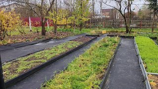 видео: Геотекстиль спустя 2 года на огороде, какой лучше - плотный?! Дайкон в октябре  картинка: Геотекстиль спустя 2 года на огороде, какой лучше - плотный?! Дайкон в октябре
