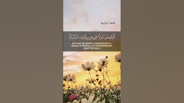 #تلاوت_قرآن #تلاوت #تلاوة_خاشعة #تلاوات #تلاوة #تلاوة_هادئة #تلاوات_خاشعة #تلاوة_مميزة #قرآن