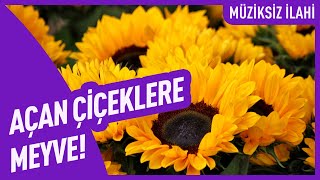 Açan Çiçeklere Meyve! | Müziksiz İlahi