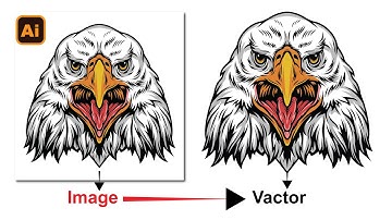 How to Convert JPG image to a vector in Illustrator 2023