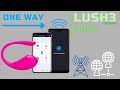 #2.1 Lovense Lush3 - 遠距離控制(上網 ) 單向控制 [廣東話/中文]