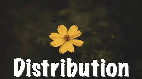 Learning Logic  [] 54 []  Distribution