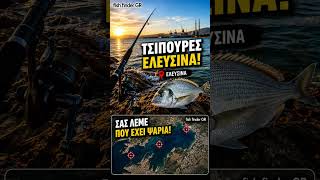#Τσιπουρες#ψάρεμα #ψαρεμα στην Αττική #fishing #fish #casting