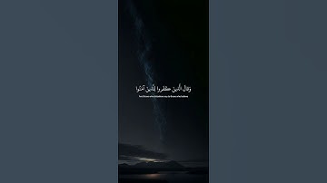 أوليس الله باعلم بما في صدور العالمين #القرآن_الكريم #المصحف #اكسبلور #آيات #راحة_نفسية #لايك