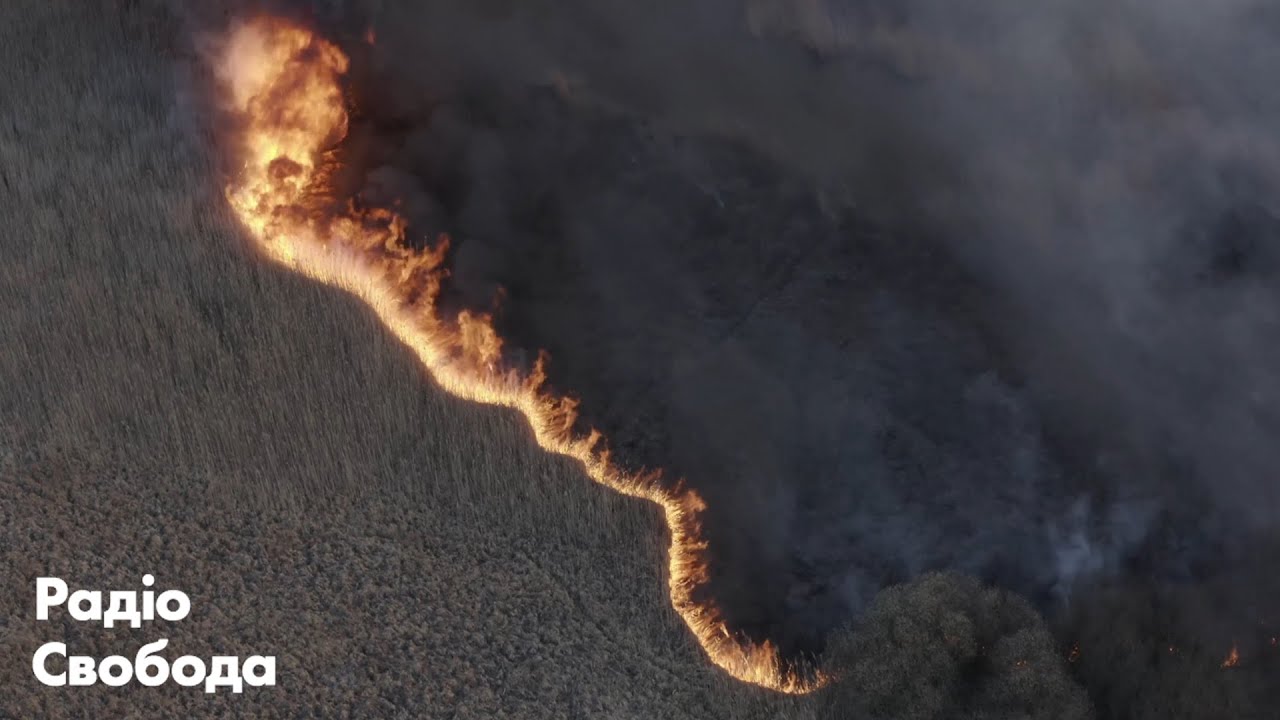 Пожары в Чернобыльской зоне отчуждения – видео с высоты