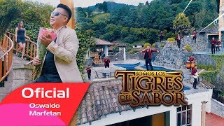 Video thumbnail of "ME ENAMORE (Fabian Cargua) - LOS TIGRES DEL SABOR (VIDEO OFICIAL)CINEMA 4k"