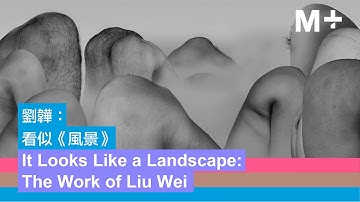 Artist Lens｜Liu Wei: On ‘Landscape’