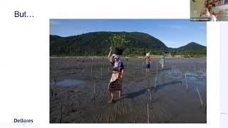 Green and grey infrastructure for coastal resilience: what works where? with Bregje vanWesenbeeck