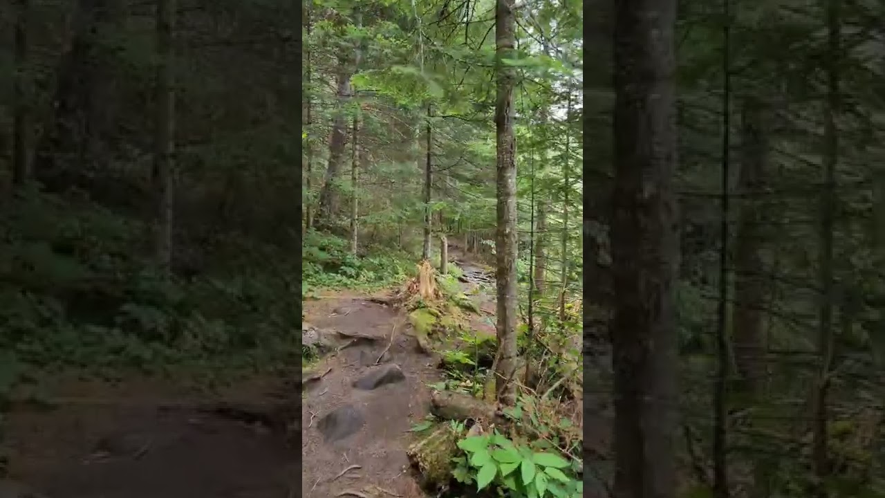 Beaver Pond Trail (Algonquin)