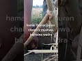 Tharun K Mushuwa Bajaina Wadra Technique Tharun K Mushuwa Bajaina Wadra Technique