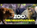      thiruvananthapuram zoo kerala  ramesh  suresh vlogs