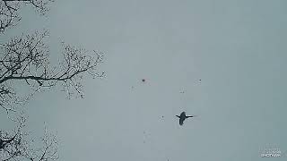 SHOT0013