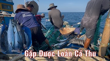 Gặp Được Món Cá Thu Lớn ll Nghề Lưới Rút Ngày Phú Yên Tập Cuối - Trai Biển Xứ Nẫu