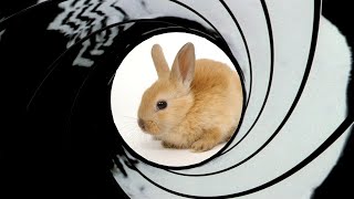 Lore-Spy Blyndeff (Drawstream)