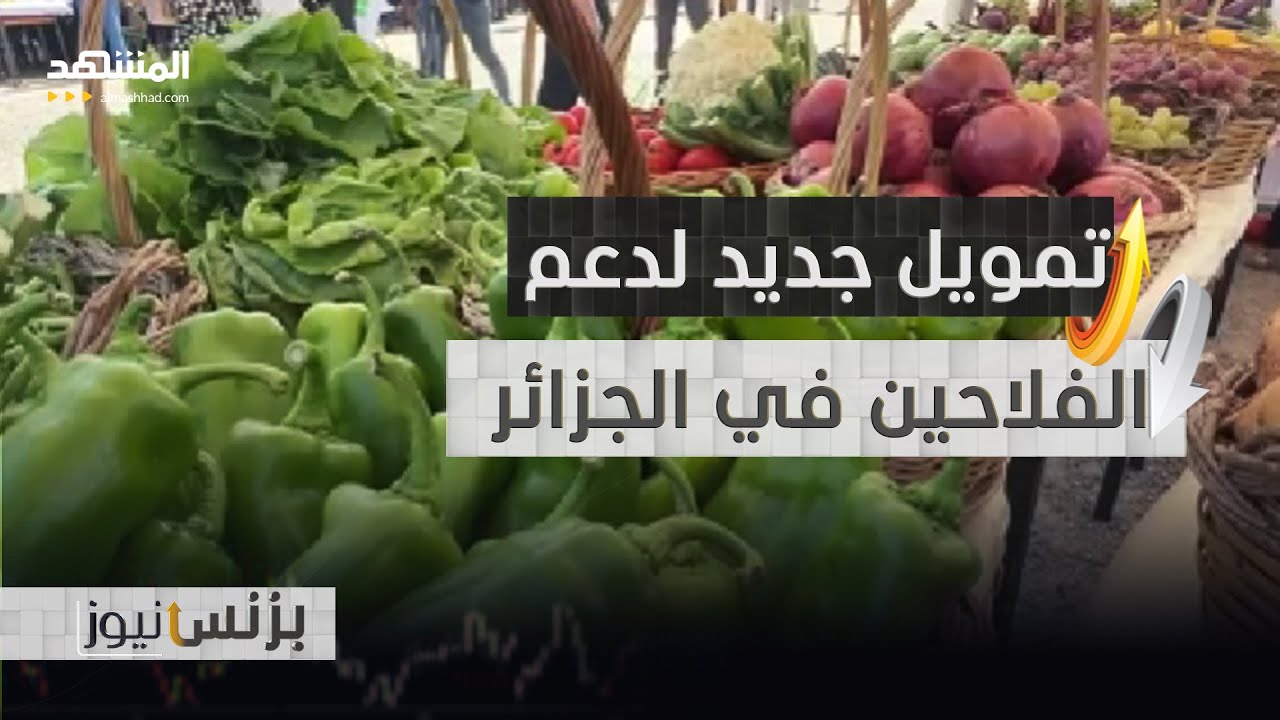 إطلاق تمويل جديد لإنشاء غرف تبريد لصالح الفلاحين في الجزائر