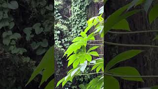 FOURTH DAY OF EXPLORING THE WORLD NATUTE AND THE CLIMATE