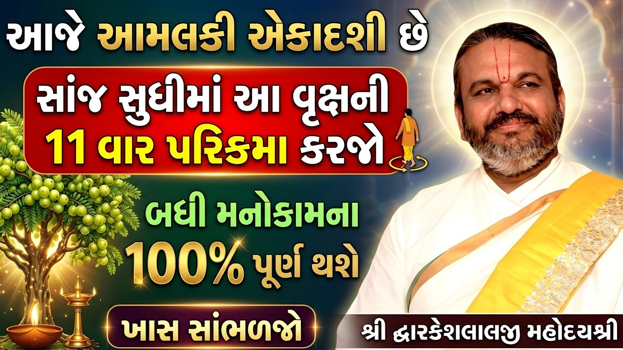 આજે આમલકી એકાદશી છે સાંજ સુધીમાં આ વૃક્ષની 11 વાર પરિક્રમા કરજો બધી મનોકામના 100% પૂર્ણ થશે સાંભળજો