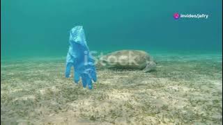 Continente de Plástico, Mar de problemas