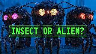 Fallout’s Cosmic Mystery: The Mothman | Fallout 76 Lore