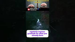 Ways To Improve Mindset