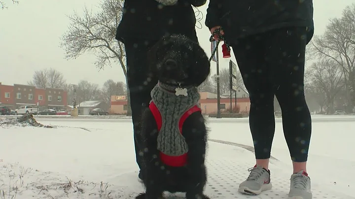 ‘Like The Dead Of Winter’: Minnesotans Stunned By Spring Snowstorm