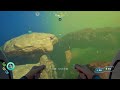 Middle of video