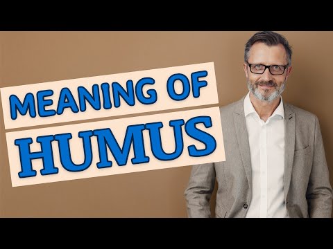 Humus | Definition of humus