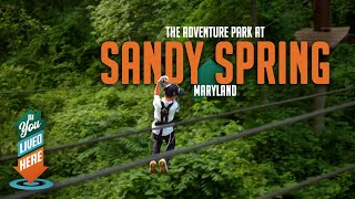 A Forest Playground Like No Other – Sandy Spring Adventure Park in Maryland Profile