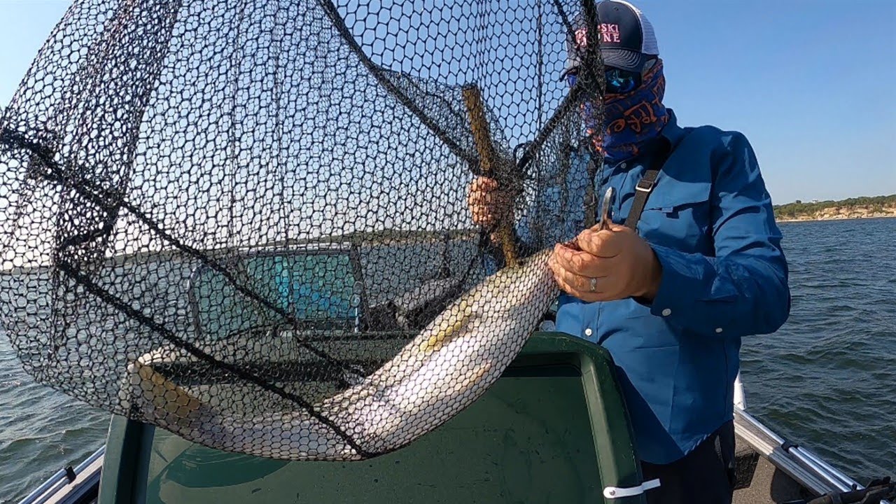 Trolling A Rigs and Slabbing using the Thumper and Garmin Panoptix  Livescope for Lake Texoma Striper 