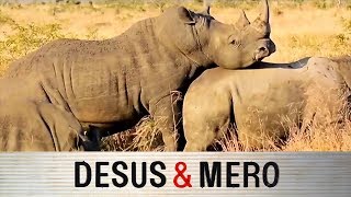 The Ball Baggys: Sexual Creature of the Year Profile