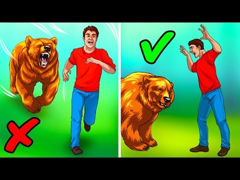 Wideo: Jak Przestraszyć Niedźwiedzia