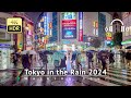 Japan - Tokyo in the Heavy Rain Day-to-Night Walking Tour [4K/HDR/Binaural]